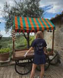 Person standing next to a vintage cart with a colorful striped awning in a scenic outdoor setting.